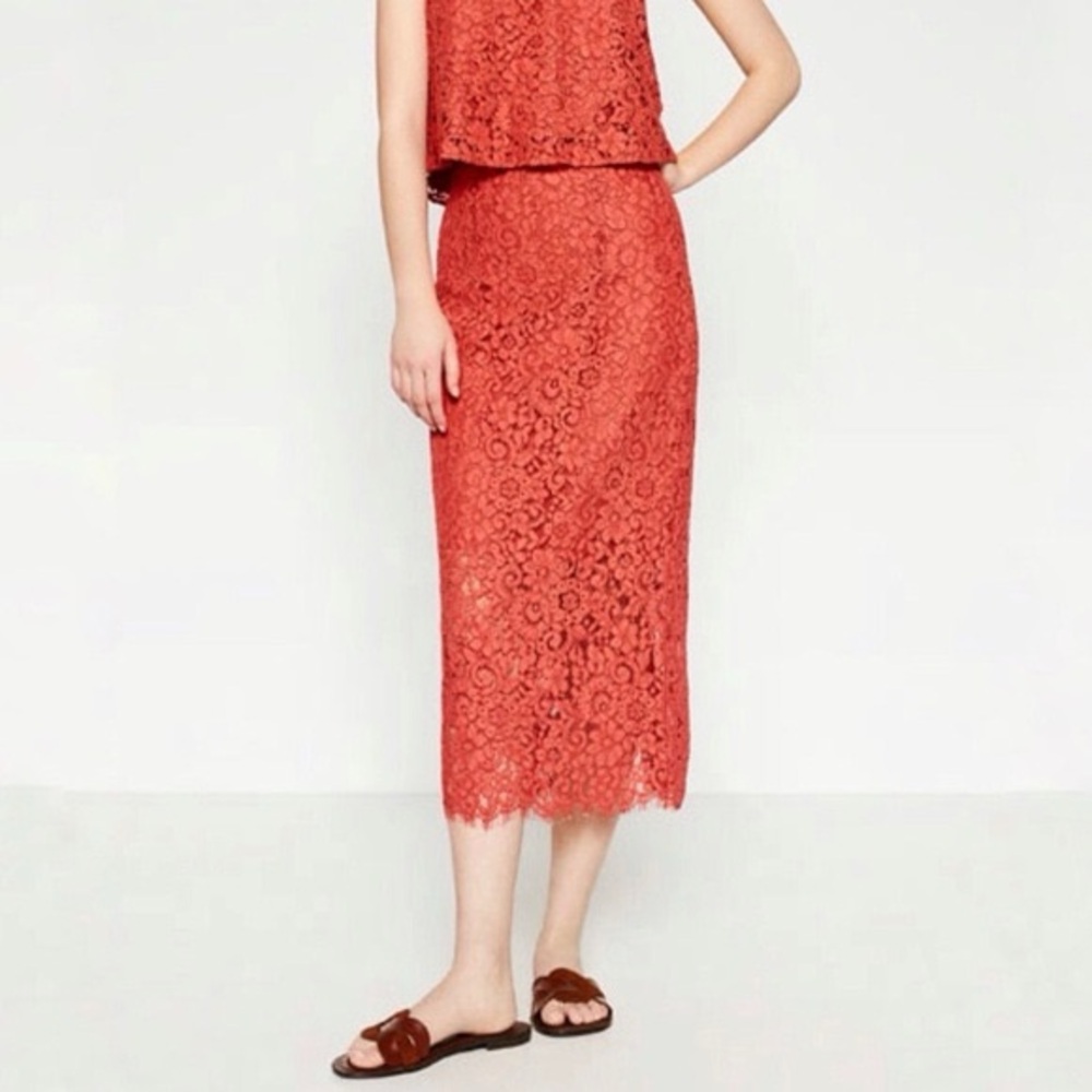 Zara Lace Overlay Midi Pencil Skirt in Fall Burnt Orange